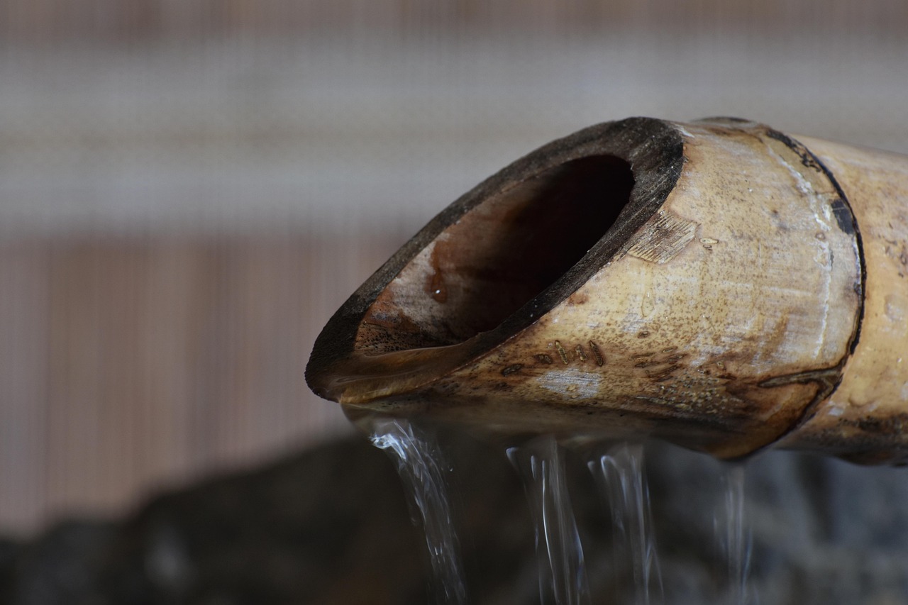 话机通信实名账号：编程猫app详情下载教程程序