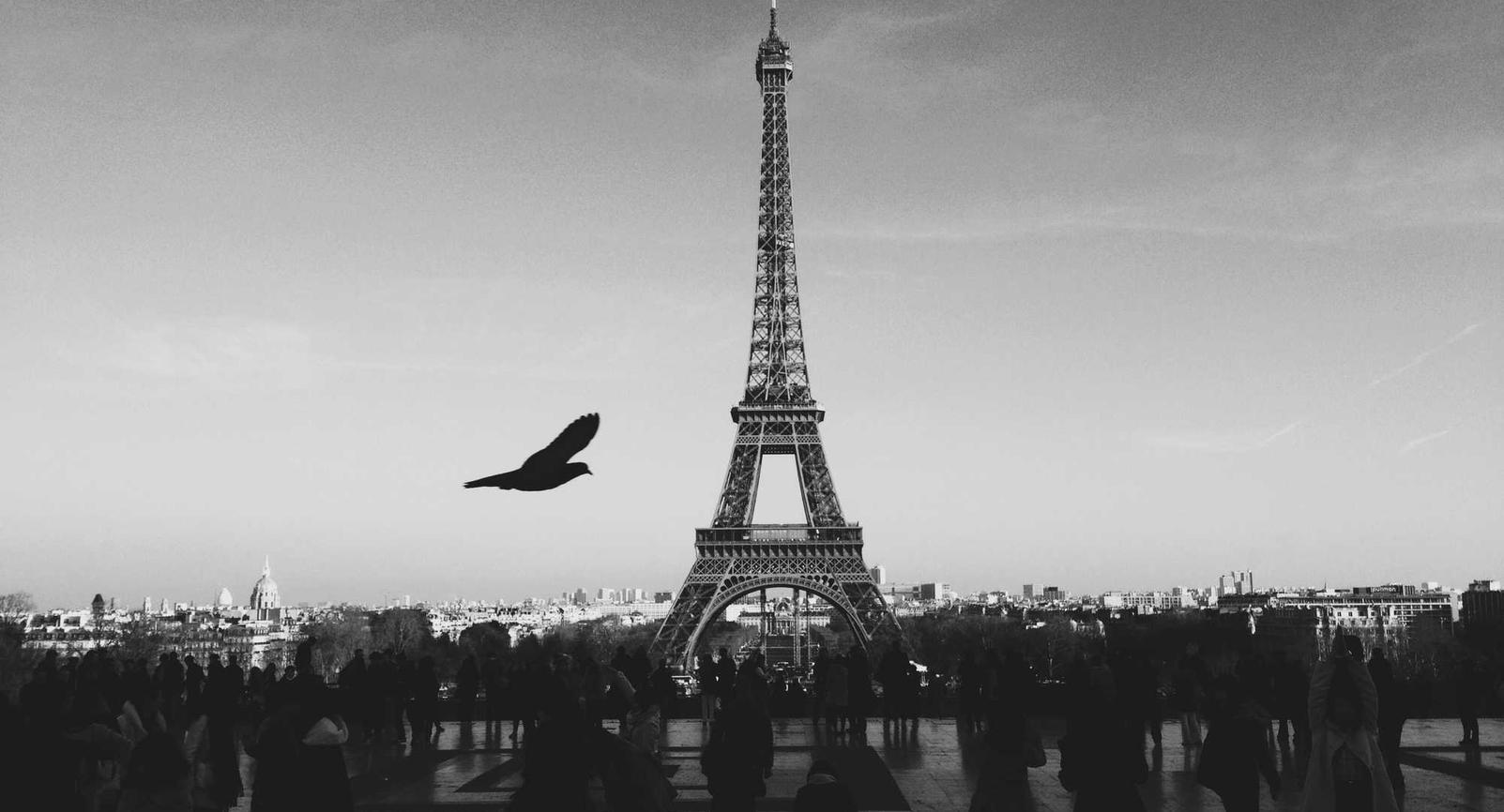 快速恢复网络正常运行，有效防御DDoS攻击服务器软件